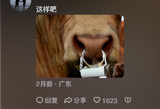 1699元的“名媛社交神器”火了！疯狂收割女中产网友：人傻钱多(图4)