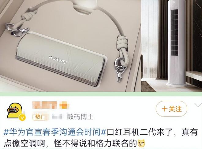 1699元的“名媛社交神器”火了！疯狂收割女中产网友：人傻钱多(图9)
