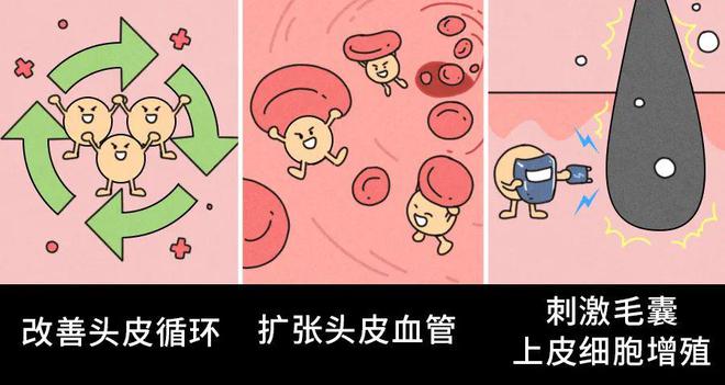 PG平台一个真的能长头发的好东西很多人竟然不敢用！(图1)