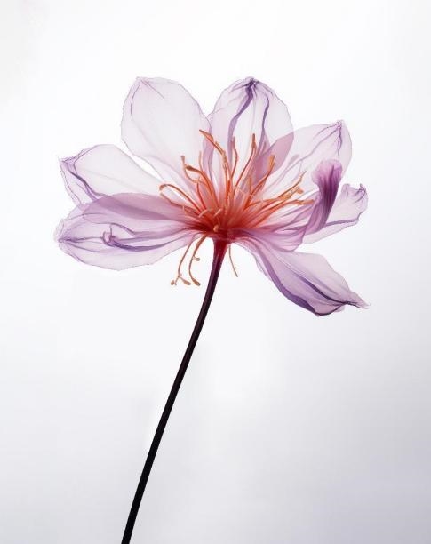 PG电子网站皮肤反复敏感好不了?竟是坏情绪惹的祸快让玉容初帮你情绪护肤(图2)