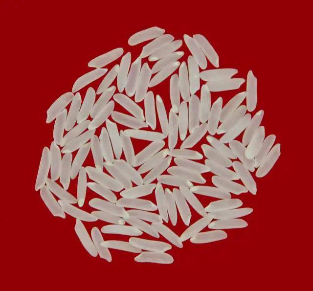 2024年广州粮作主导品种和主推技术这些上榜(图3)