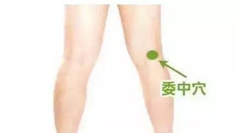 今日大暑：四大防暑妙招清火、祛湿、养心助您安然度夏！(图11)