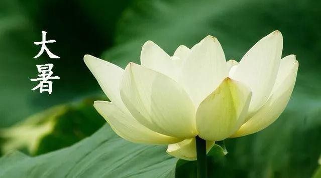 今日大暑：四大防暑妙招清火、祛湿、养心助您安然度夏！(图1)