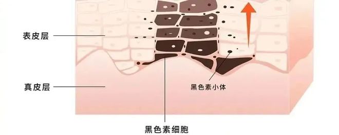 PG电子网站班味大到肌肤先“罢工”!女明星同款元气肌轻松拥有(图7)