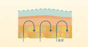 PG电子网站班味大到肌肤先“罢工”!女明星同款元气肌轻松拥有(图27)