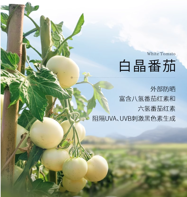 揭秘!美白成分大起底Tracel萃斯让你白到发光(图3)