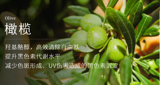 揭秘!美白成分大起底Tracel萃斯让你白到发光(图7)