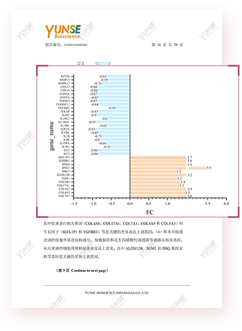 继情绪护肤报告后国货玉容初又有大动作颠覆性突破研究出基因护肤(图3)