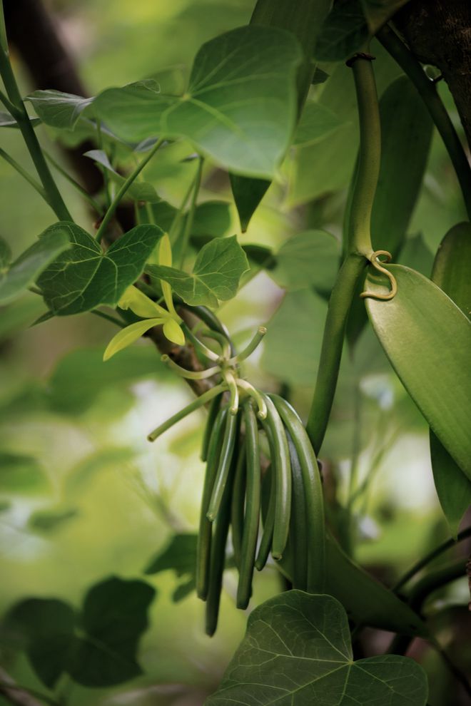 重建内心秩序的本质是：记住心流重复心流(图18)