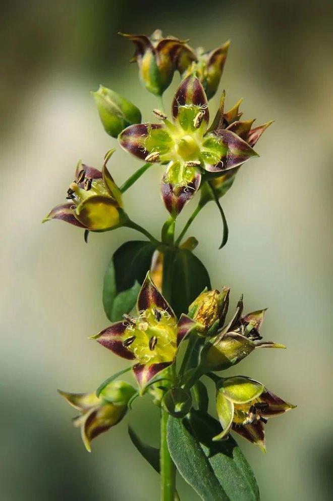 重建内心秩序的本质是：记住心流重复心流(图17)