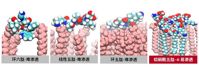 打破抗老天花板！OLAY第4代超红瓶究竟“超越”在哪里？(图4)