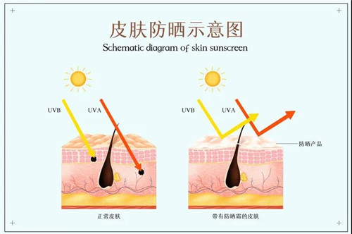 和治友德：划重点！冬季护肤要注意以下事项(图4)