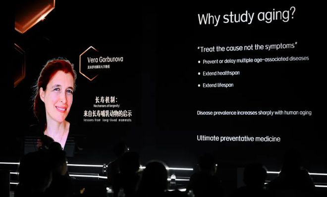 市场都在布局“口服抗衰美容”为何是SwissePLUS能率先跑出?(图8)