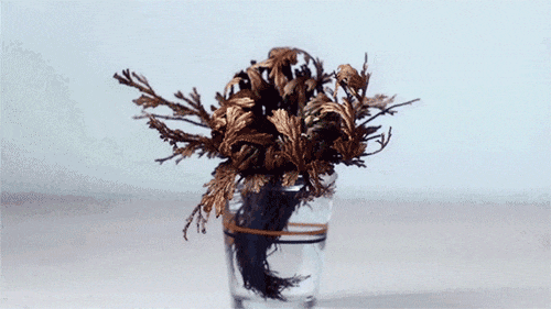 PG平台这罐能让掉“渣”糙干皮变水嫩灯泡肌的东西但凡有女生不知道我…(图18)