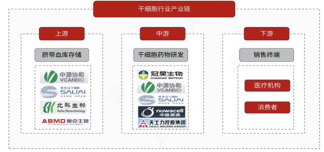 干细胞全线提速！生物医学前沿核心赛道布局龙头厂商全梳理(图2)