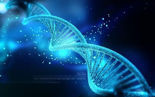 全球NMN抗衰老先进技术研发成果解读抗衰老NMN哪个牌子好(图1)