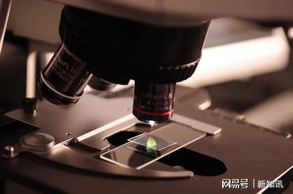 科技赋能健康长寿：GRANVER吉瑞维助力“60后”新老年群体焕发活力(图1)