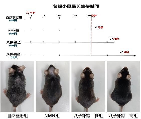 以岭药业：携创新中药抗衰成果参加千人抗衰论坛业内评价其或迎业绩突破(图2)