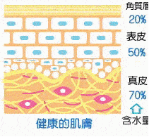 抗衰老护肤品有哪些？适合25岁以上女生的抗老产品(图1)