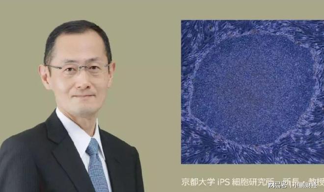 PG电子网站外媒坐不住？中国干细胞门户大开后全球抗衰者或将涌入中国(图3)
