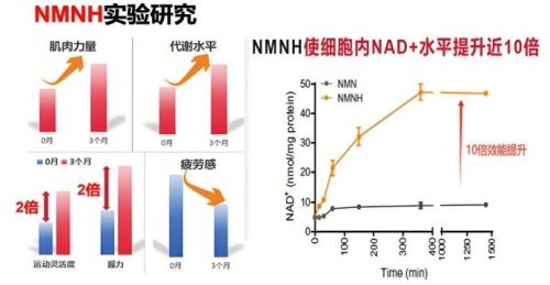 PG电子平台NMN已边缘化?GRANVER吉瑞维以实力回应(图2)
