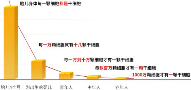 全民120岁指日可待！日本科学家最新突破干细胞成抗衰最大黑马(图4)