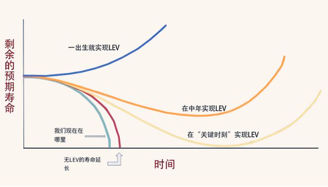 全民120岁指日可待！日本科学家最新突破干细胞成抗衰最大黑马(图1)