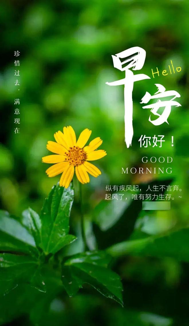 早安正能量喜欢说说语录：钱包尚未富裕岂能儿女情长！(图1)