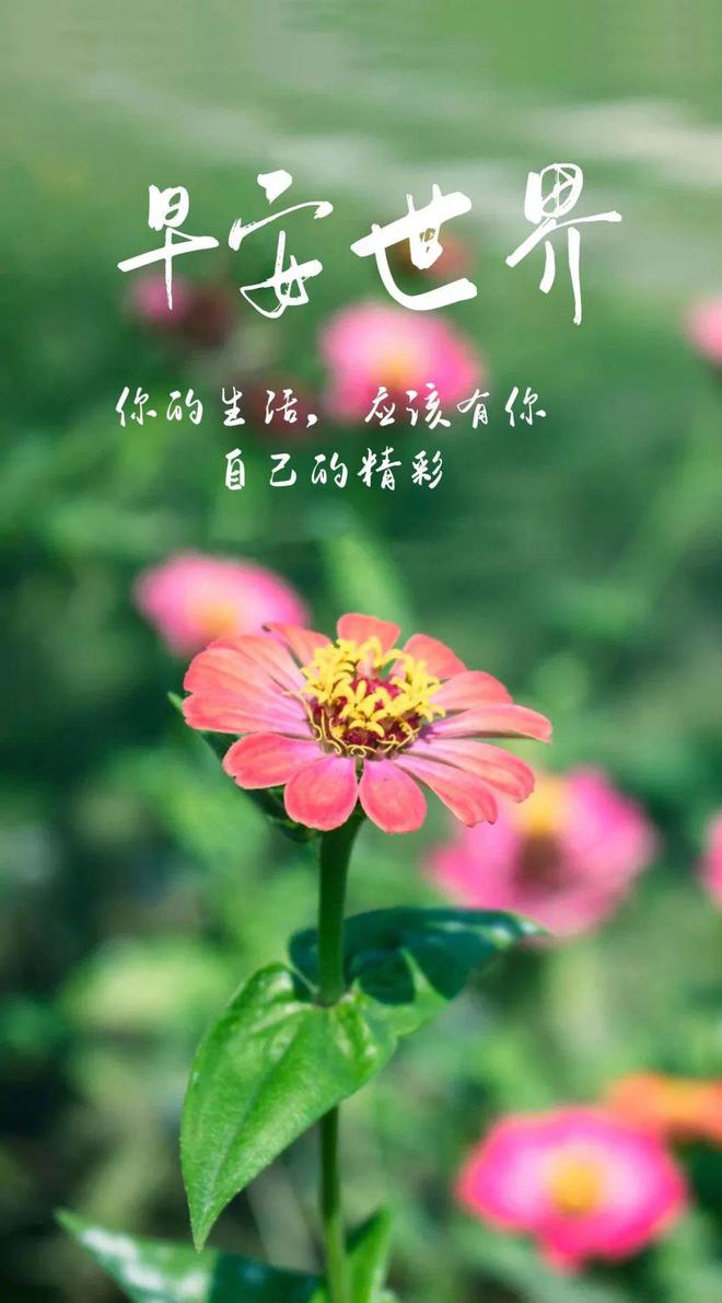 早安正能量喜欢说说语录：钱包尚未富裕岂能儿女情长！(图3)