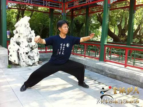PG电子平台杜德平太极专栏太极拳表演与实练之差异(图1)