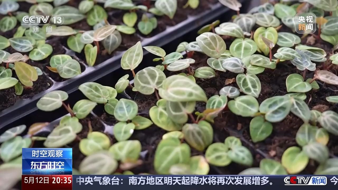 花钱开心今天你“情绪消费”了吗？(图5)