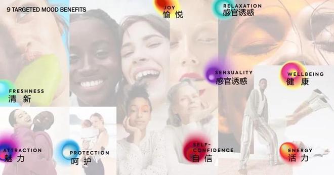 消费端解码生产商ADA凭什么成为“新星”酒店的“靠山”？(图8)