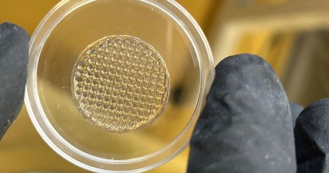全球首款3D生物打印人造皮肤问世化妆品动物实验或成历史(图1)