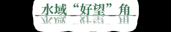 来HOLYMEGA精致生活节度个假解锁魔都的“海岛”之旅！(图7)