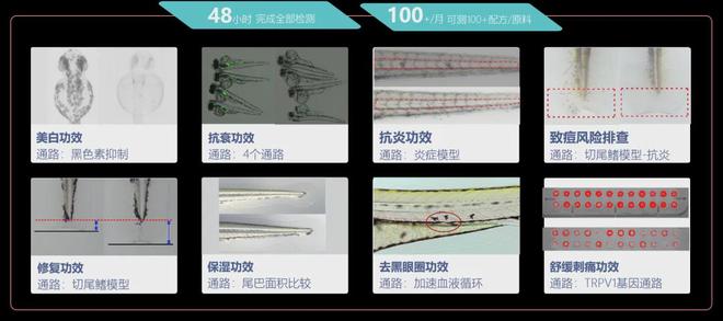 水中银小鱼亲测荣获「ICIC科技创新服务商奖」！(图7)
