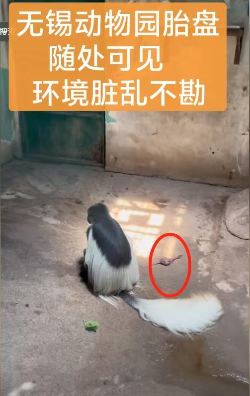 PG电子平台无锡动物园卫生引众怒胎盘遍地臭味难忍紧急回应！(图1)