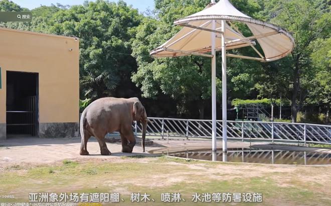 PG电子平台无锡动物园卫生引众怒胎盘遍地臭味难忍紧急回应！(图10)