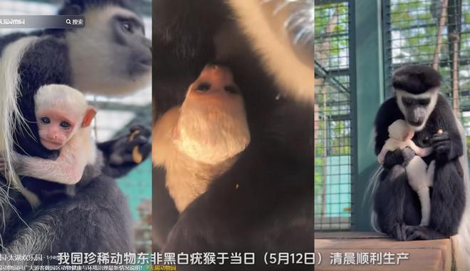 PG电子平台无锡动物园卫生引众怒胎盘遍地臭味难忍紧急回应！(图11)