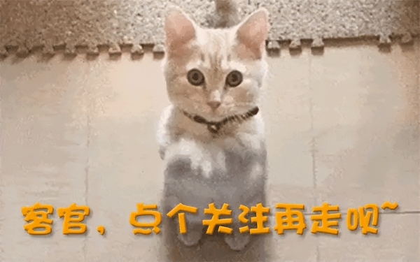 PG电子平台点名全红婵揭露其背后真实现状(图19)