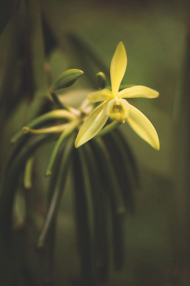 护肤护肤的情绪价值到底有没有价值(图5)