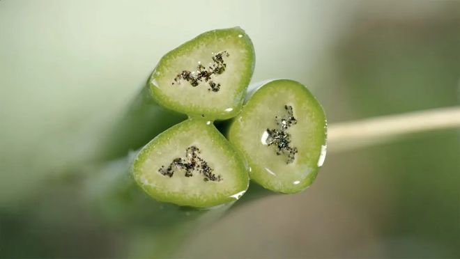 护肤护肤的情绪价值到底有没有价值(图6)