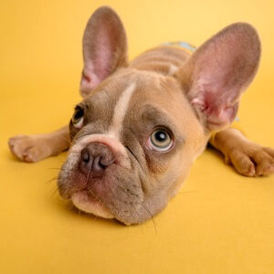 抗老的产品都有啥？(图1)