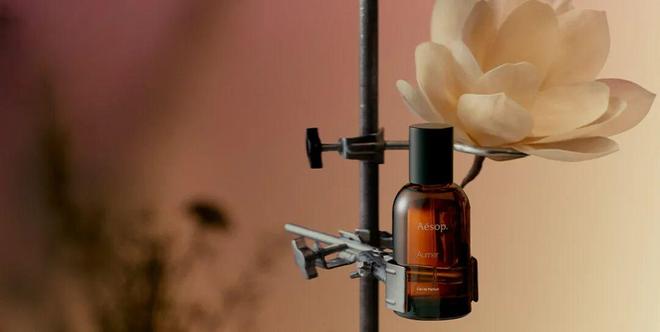 “伊”手快报赵丽颖、孟子义、林允携手秋风遇见新意：在光影与质感中锋芒再露(图25)