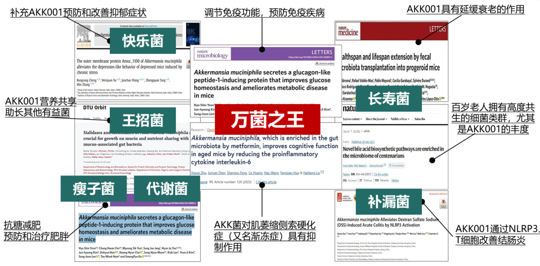 PG平台双A·逆时圆桌交流会倒计时!TimeShop携手国际权威引领健康新潮(图2)
