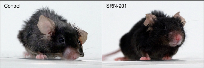 赛诺根“最强长寿药”数据公布国药引进瑞拓龄突破寿命极限成共识(图1)