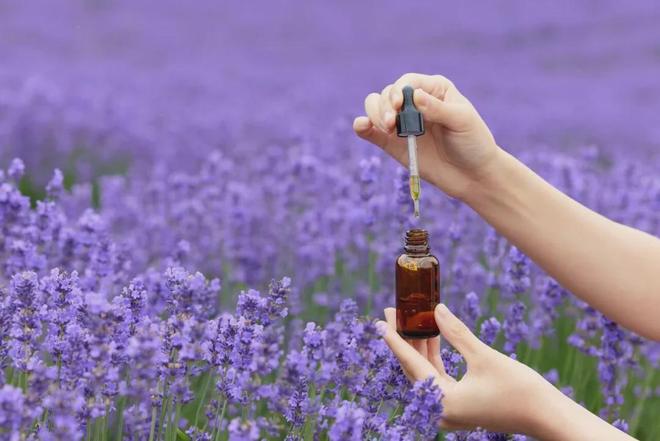 PG电子网站东方之美世界共享｜绿韵兰茜一场跨越五千年的东西方养肤对话(图5)