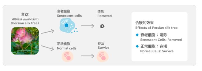 格力高总部探秘:瞄准全球10亿人一年花60亿日元做研发爆款(图23)