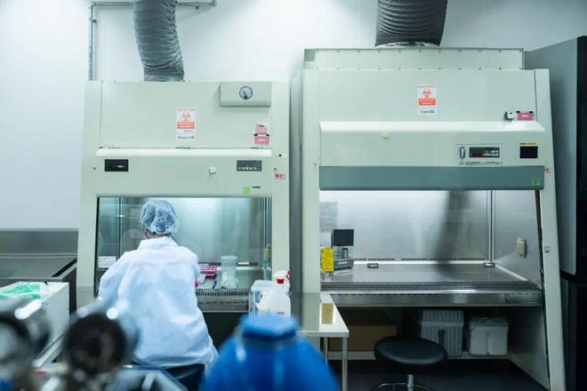 格力高总部探秘:瞄准全球10亿人一年花60亿日元做研发爆款(图21)