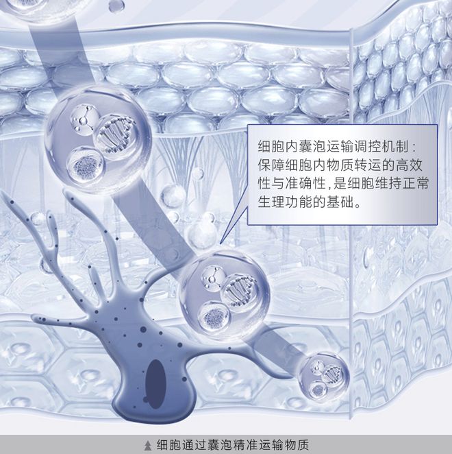 诺奖得主获授黛安蒂荣誉首席科学家启幕50+熟龄肌抗衰新纪元(图2)