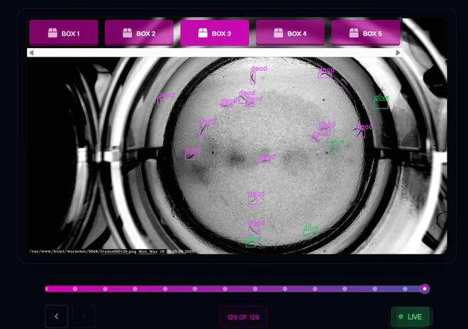 比特币暴跌长寿币崛起：资助延寿63%的实验你会下注吗？(图5)